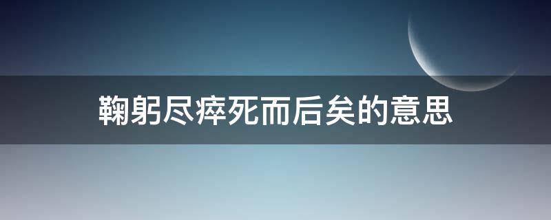 鞠躬尽瘁死而后矣的意思