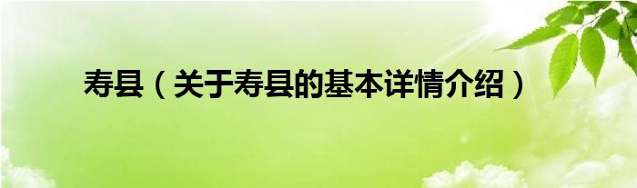 寿县（关于寿县的基本详情介绍）