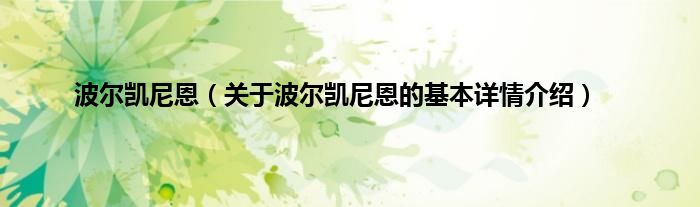 波尔凯尼恩（关于波尔凯尼恩的基本详情介绍）