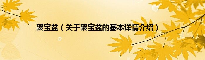 聚宝盆（关于聚宝盆的基本详情介绍）