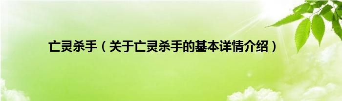 亡灵杀手（关于亡灵杀手的基本详情介绍）