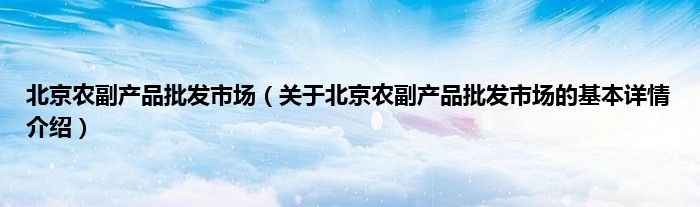 北京农副产品批发市场（关于北京农副产品批发市场的基本详情介绍）