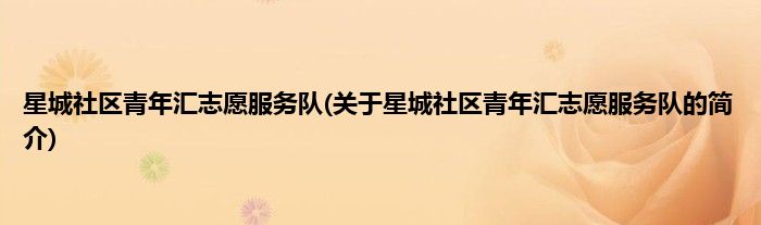 星城社区青年汇志愿服务队(关于星城社区青年汇志愿服务队的简介)