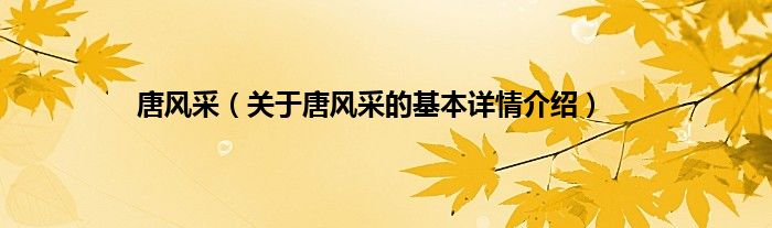 唐风采（关于唐风采的基本详情介绍）