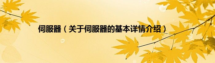 伺服器（关于伺服器的基本详情介绍）