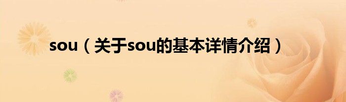 sou（关于sou的基本详情介绍）