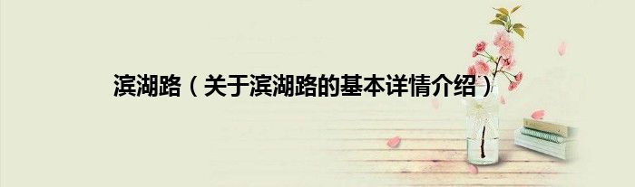 滨湖路（关于滨湖路的基本详情介绍）