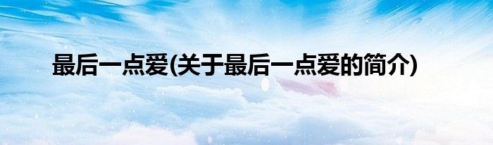最后一点爱(关于最后一点爱的简介)
