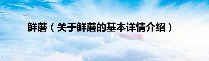 鲜蘑（关于鲜蘑的基本详情介绍）