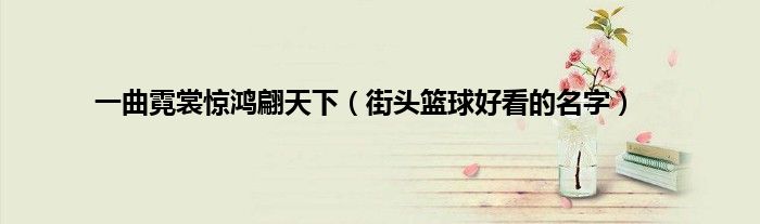 一曲霓裳惊鸿翩天下（街头篮球好看的名字）