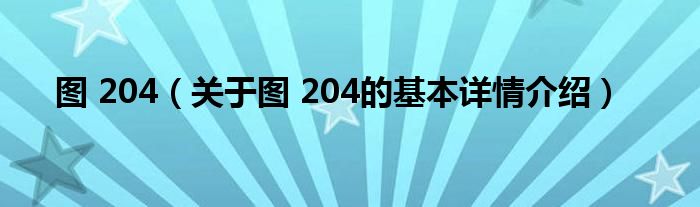 图 204（关于图 204的基本详情介绍）