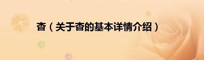 杳（关于杳的基本详情介绍）