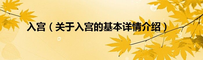 入宫（关于入宫的基本详情介绍）