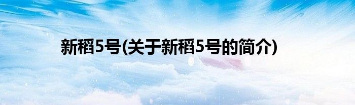 新稻5号(关于新稻5号的简介)