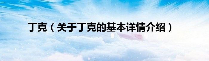 丁克（关于丁克的基本详情介绍）