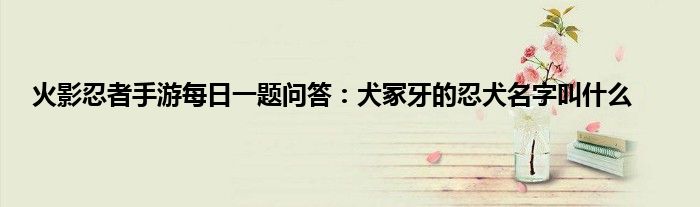 火影忍者手游每日一题问答：犬冢牙的忍犬名字叫什么