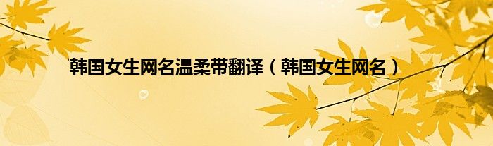 韩国女生网名温柔带翻译（韩国女生网名）