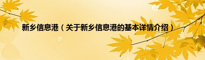 新乡信息港（关于新乡信息港的基本详情介绍）