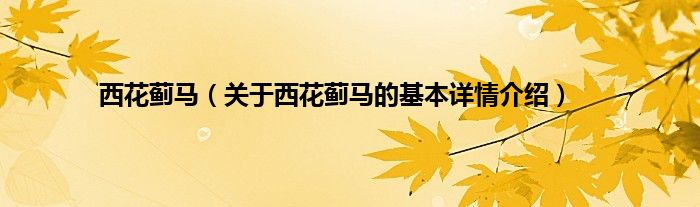 西花蓟马（关于西花蓟马的基本详情介绍）