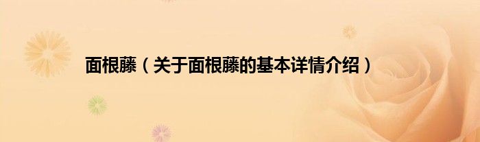 面根藤（关于面根藤的基本详情介绍）