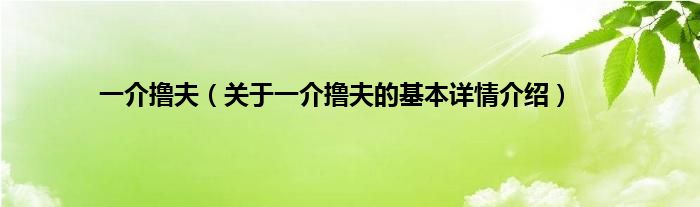 一介撸夫（关于一介撸夫的基本详情介绍）