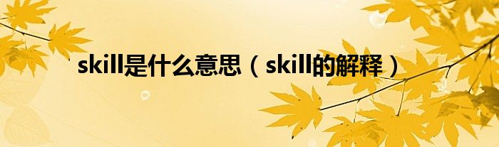 skill是什么意思（skill的解释）
