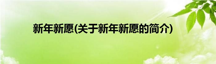 新年新愿(关于新年新愿的简介)
