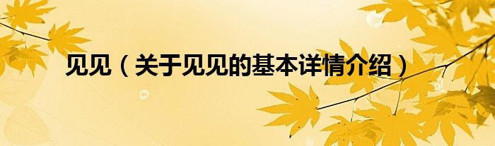 见见（关于见见的基本详情介绍）
