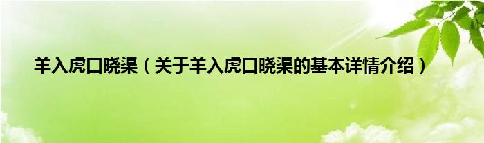 羊入虎口晓渠（关于羊入虎口晓渠的基本详情介绍）