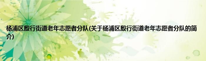 杨浦区殷行街道老年志愿者分队(关于杨浦区殷行街道老年志愿者分队的简介)