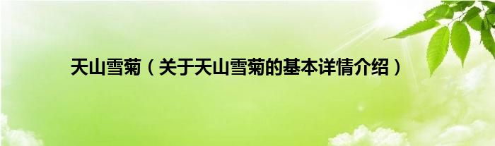 天山雪菊（关于天山雪菊的基本详情介绍）